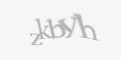 Защитный код